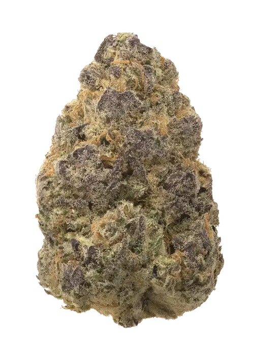 Pink Bubba Pop