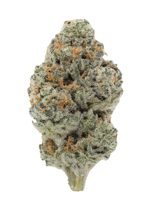 Mary