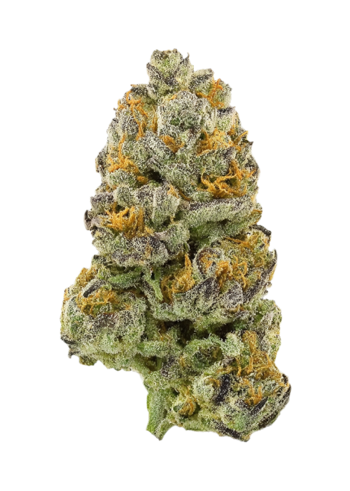 Egyptian Orange