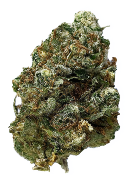 Tropical Blueprint