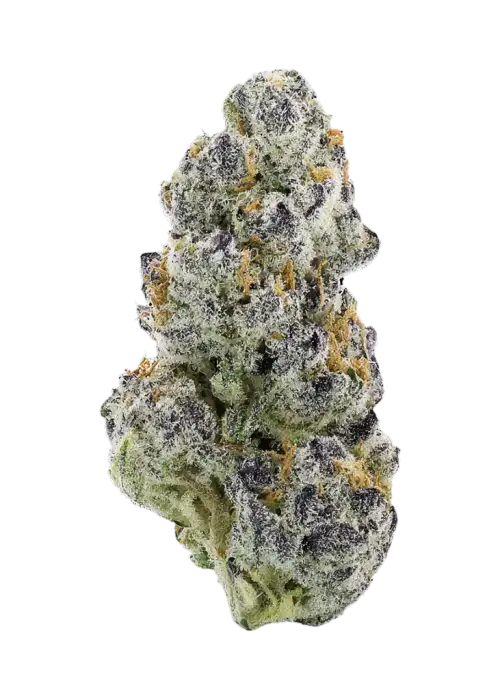 Pharaoh's Fruit