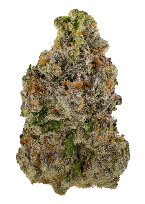 Papaya Republic