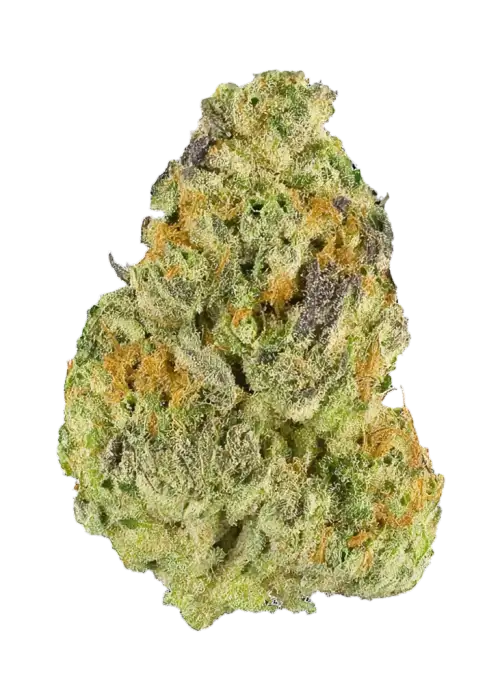 Memphis Leak