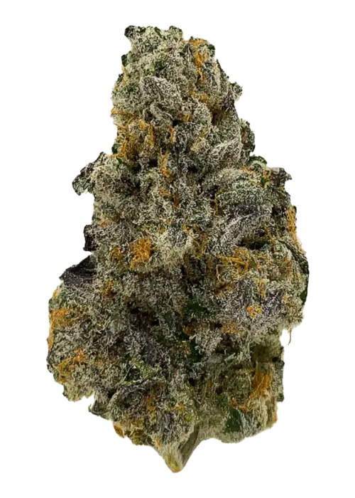 Grape Gov