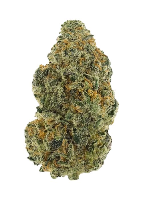 Cheri Oasis