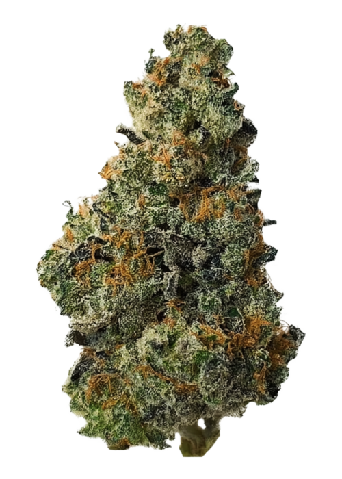 Black Water by PCG