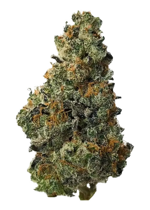 Black Water by PCG