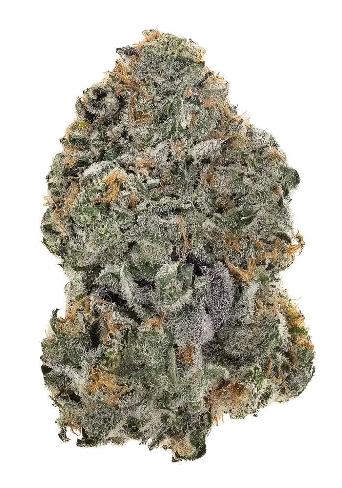 Cranberry GellyZ Cannabis Strain Information - GrowDiaries