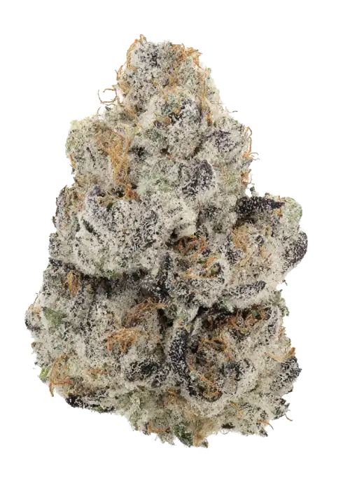 Black Ice by 3rd Coast