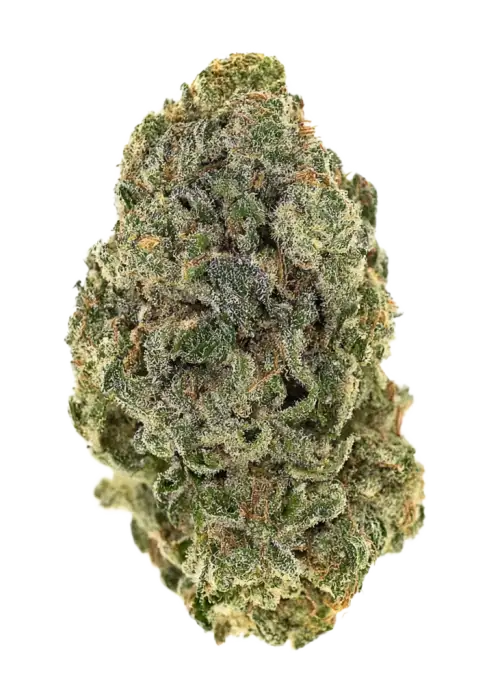 Top Banana OG