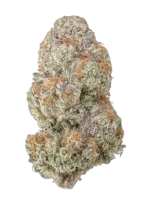Cherry Starburst