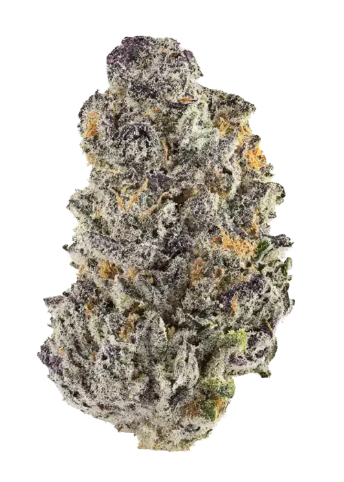 Lemon Izee