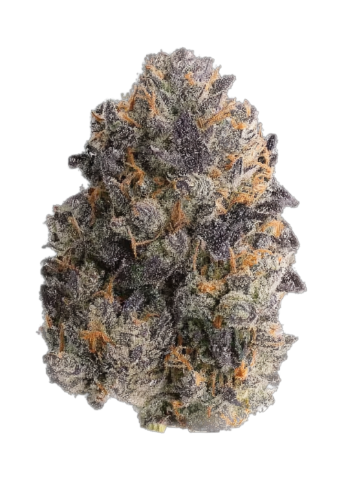 Mango Frost Auto™