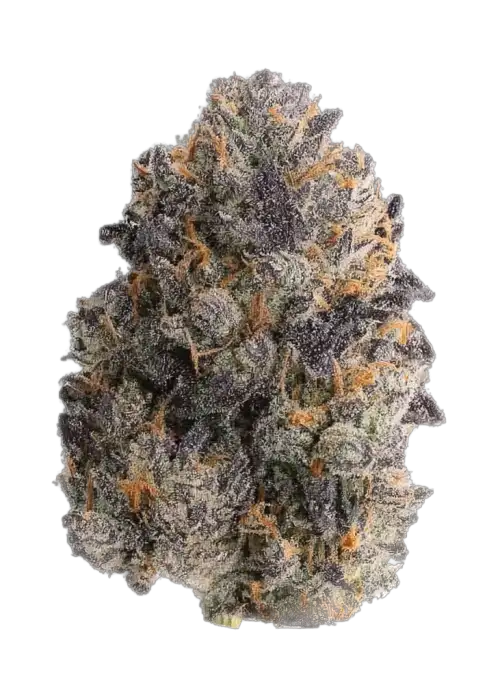 Mango Frost Auto™