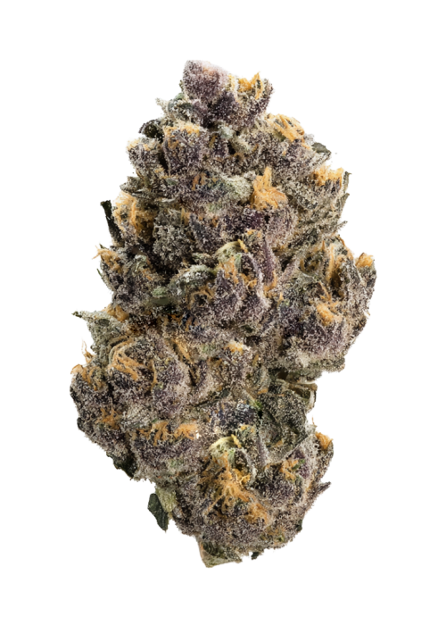 Mango Cherry Runtz Auto™