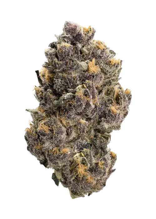 Mango Cherry Runtz Auto™