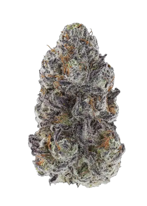 Sundae Frost Auto™