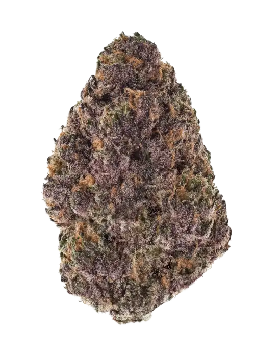 Lemon Cherry Sundae Auto™