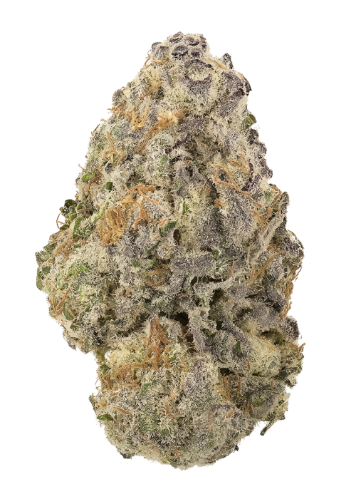 Orange Apricot MAC