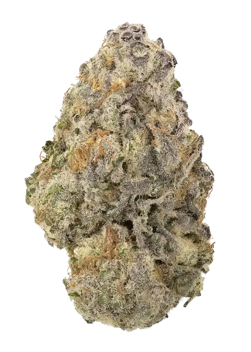 Orange Apricot MAC