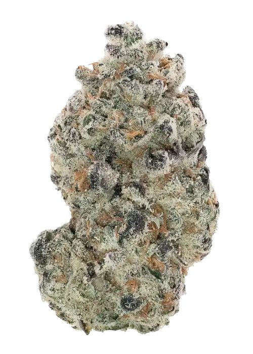 Voodoo by Wizard Trees