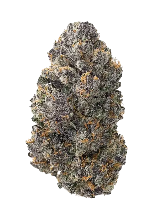 Mendo Cherry Cookies Auto™