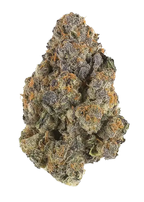 Chocolate Chips