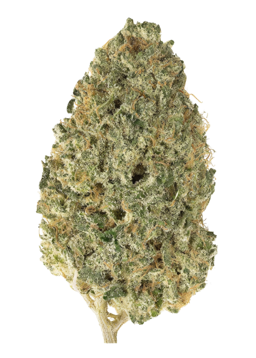 Tangie Jungle Juice