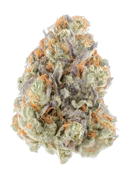 Blu OG