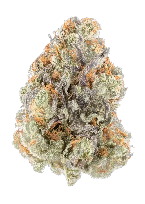 Blu OG