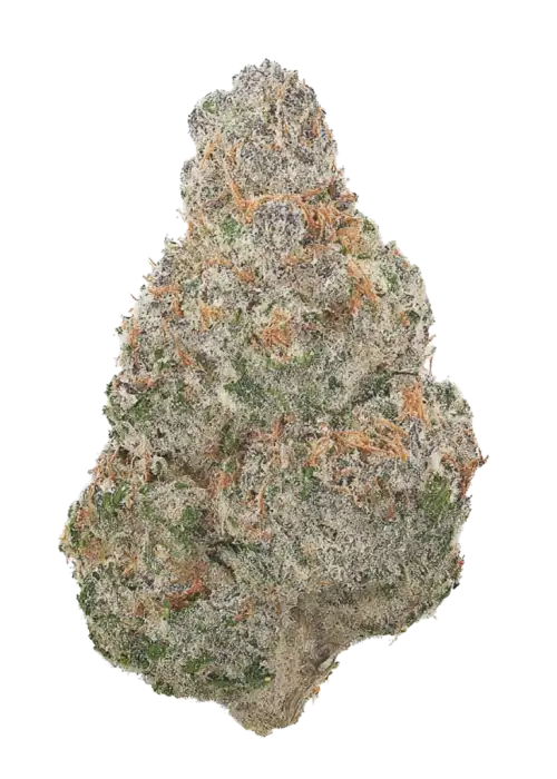 Zelium