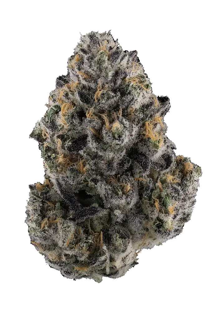 Giraffe Puzzy by Seed Junky Cannabis Strain Information -