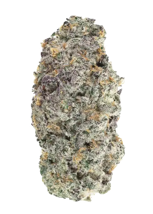 Dalai Sorbet