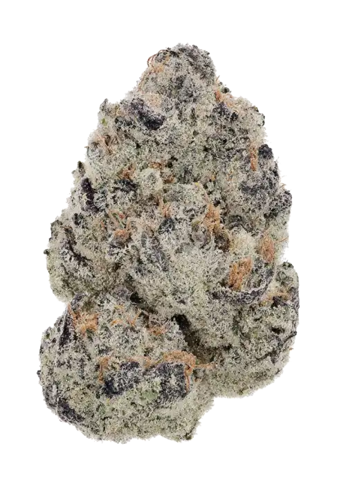Kiwi Velvet Lime