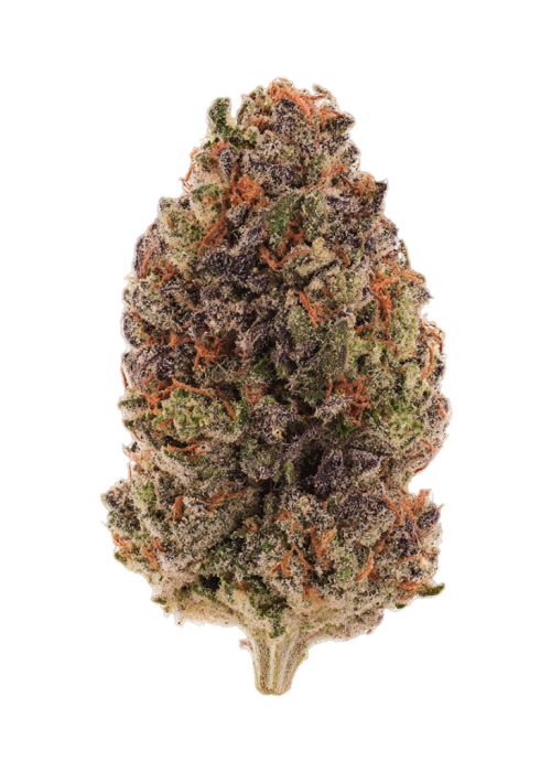 Blackout Truffle