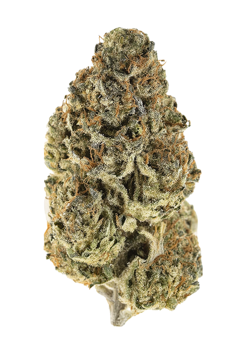 Lemon Rizz