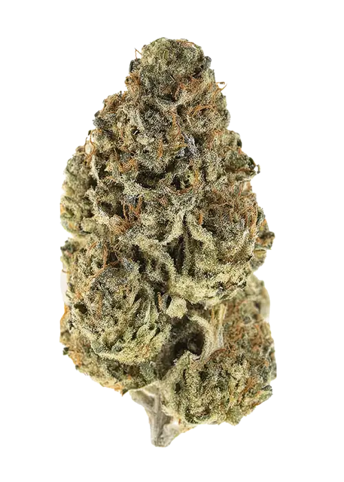 Lemon Rizz