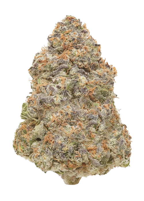 Swamp Butter