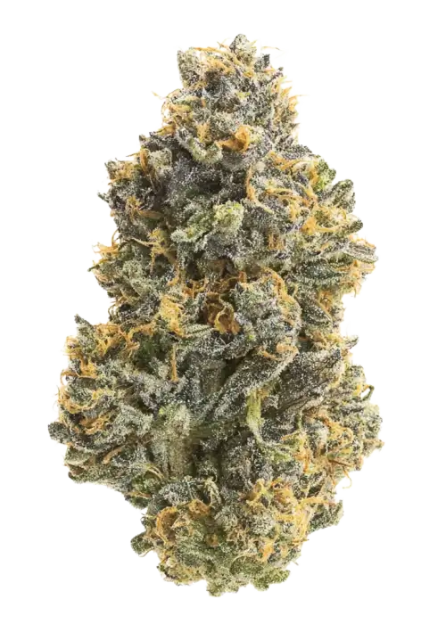 Sundae Scotch