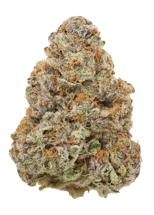 Papaya Butter