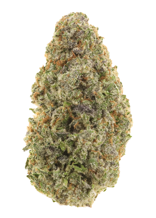 Butterscotch Bubblegum
