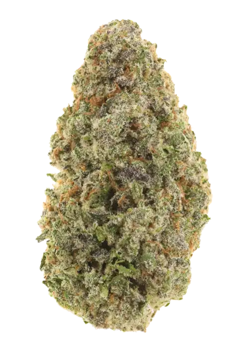 Butterscotch Bubblegum