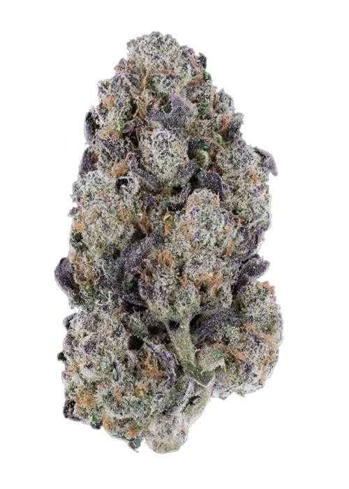 Simply Grape