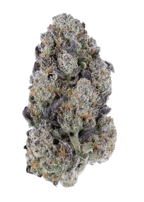 Simply Grape