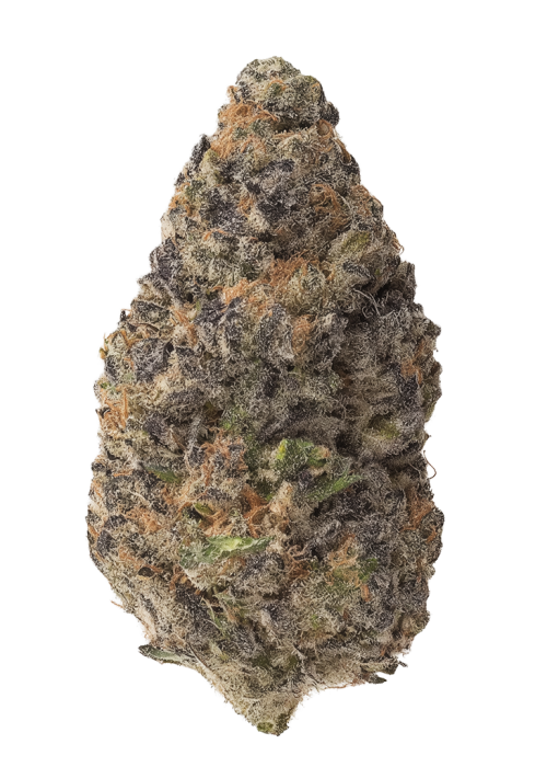 Black Cherry Reserve