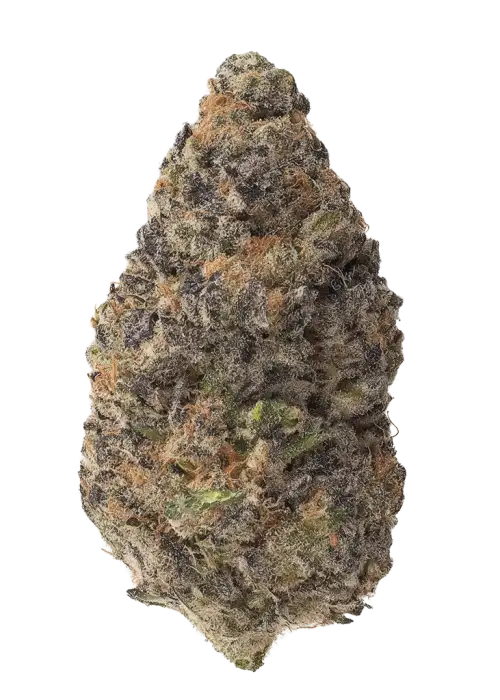 Black Cherry Reserve
