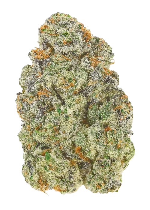 Loud Kush