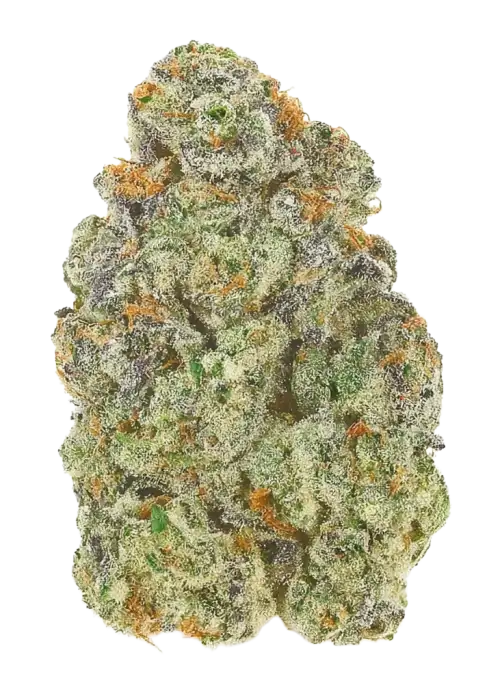 Loud Kush
