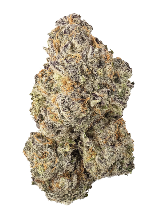 Moroccan Zowha