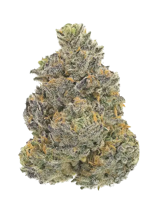 Bubble Up